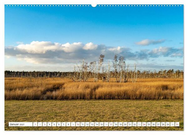 Produktbild: Mecklenburg-Vorpommern - Fischland-Dar&szlig;-Zingst (Wandkalender 2027 DIN A2 quer), CALVENDO Monatskalender