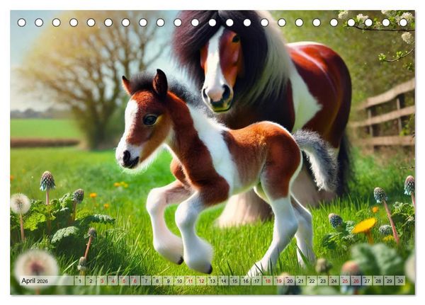 Produktbild: Faszination Tinker (Tischkalender 2026 DIN A5 quer), CALVENDO Monatskalender