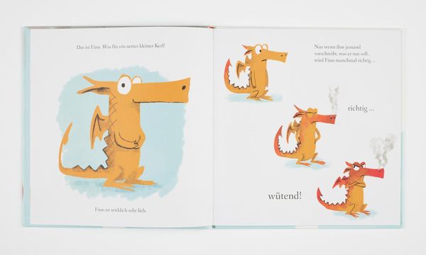 Produktbild: Kleiner Drache Finn: Kleiner Drache &ndash; gro&szlig;e Wut