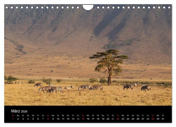Produktbild: Tansania (Wandkalender 2026 DIN A4 quer), CALVENDO Monatskalender