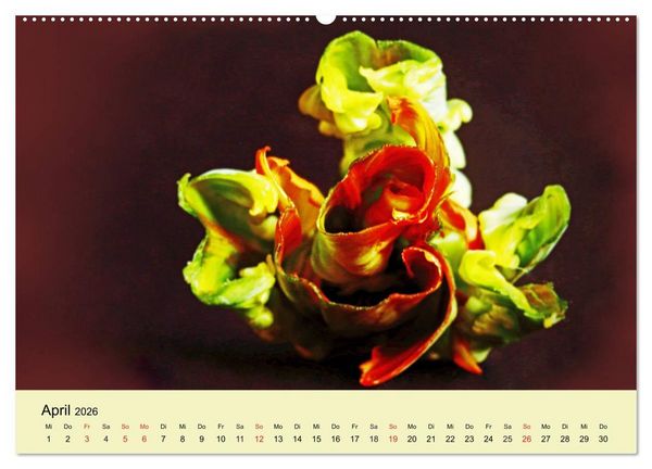 Produktbild: Fantastische Reise in die Welt der Blumen (Wandkalender 2026 DIN A2 quer), CALVENDO Monatskalender