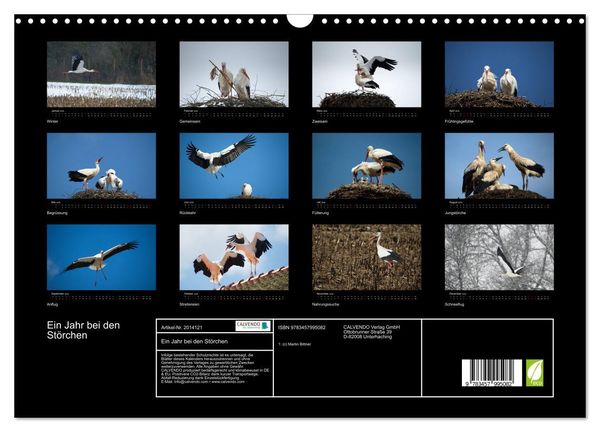 Produktbild: Ein Jahr bei den St&ouml;rchen (Wandkalender 2026 DIN A3 quer), CALVENDO Monatskalender