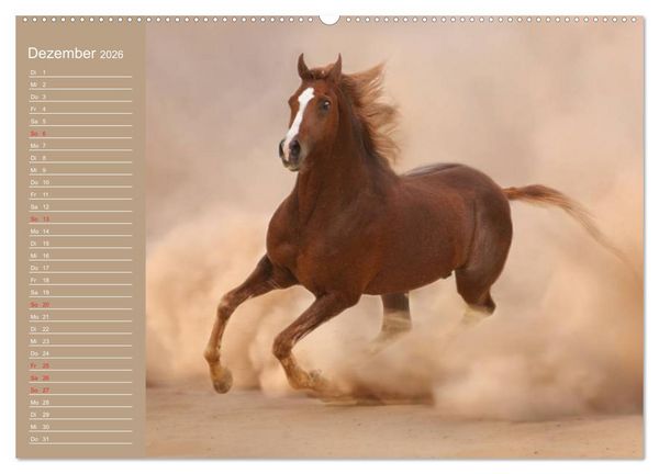 Produktbild: Pferde. Araber im W&uuml;stensand (Wandkalender 2026 DIN A2 quer), CALVENDO Monatskalender