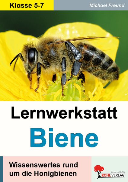 Produktbild: Lernwerkstatt Biene