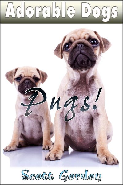 Produktbild: Adorable Dogs: Pugs