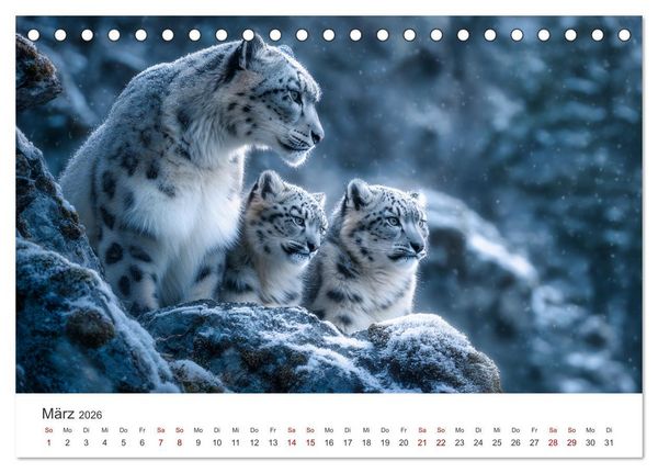 Produktbild: Geist des Gebirges - Ein Jahr in der wilden Welt der Schneeleoparden (Tischkalender 2026 DIN A5 quer), CALVENDO Monatskalender