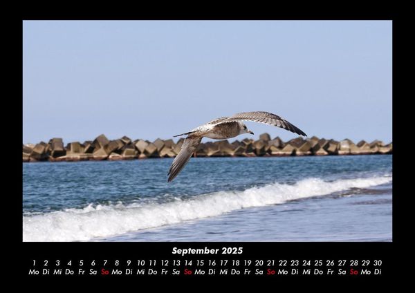 Produktbild: Str&auml;nde der Welt 2025 Fotokalender DIN A3