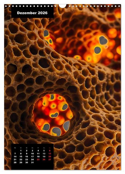 Produktbild: Bienen in ihrem geheimen Reich (Wandkalender 2026 DIN A3 hoch), CALVENDO Monatskalender