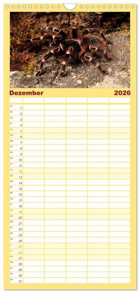 Produktbild: Familienplaner 2026 - Vogelspinnen - Tarantulas mit 5 Spalten (Wandkalender, 21 x 45 cm) CALVENDO