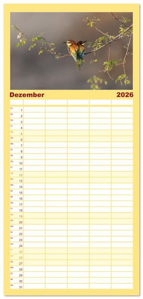 Produktbild: Familienplaner 2026 - Bunte Flieger mit 5 Spalten (Wandkalender, 21 x 45 cm) CALVENDO