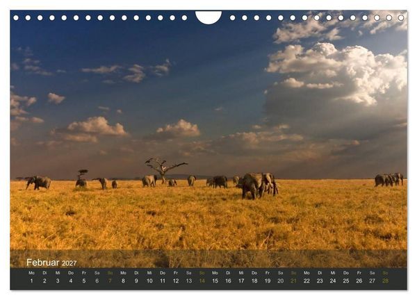 Produktbild: Elefanten (Wandkalender 2027 DIN A4 quer), CALVENDO Monatskalender