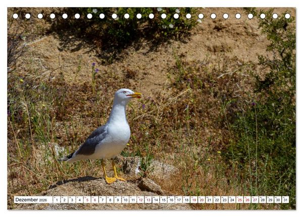 Produktbild: Vogelparadies Volvi-See (Tischkalender 2026 DIN A5 quer), CALVENDO Monatskalender