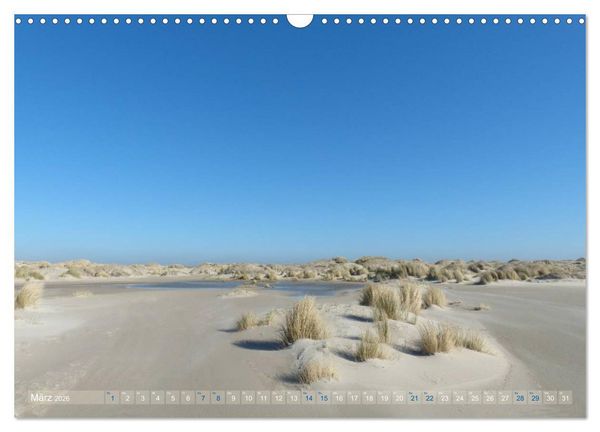 Produktbild: Texel. Neue D&uuml;nen (Wandkalender 2026 DIN A3 quer), CALVENDO Monatskalender