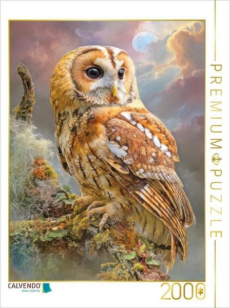 CALVENDO Puzzle Greifvögel | 2000 Teile Lege-Größe 90x67cm Foto-Puzzle für glückliche Stunden