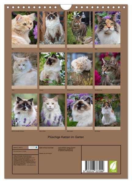 Produktbild: Pl&uuml;schige Katzen im Garten (Wandkalender 2026 DIN A4 hoch), CALVENDO Monatskalender