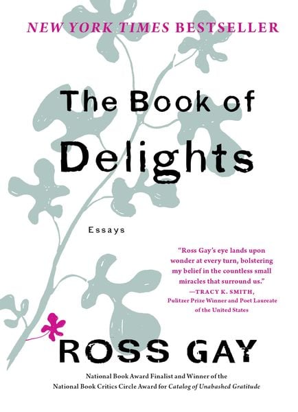 Produktbild: The Book of Delights