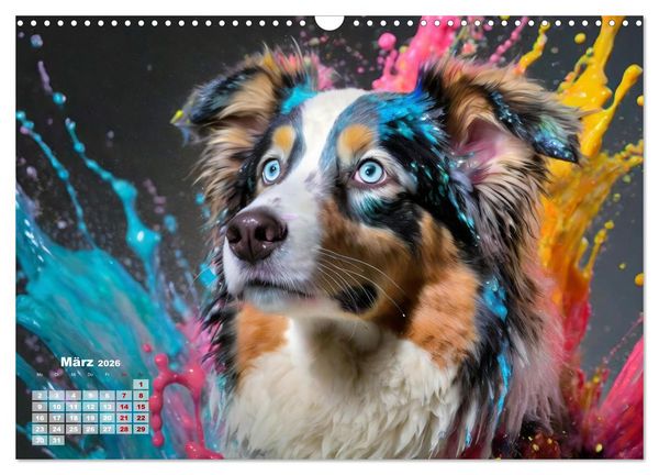 Produktbild: Splash - Hunde im Farbrausch (Wandkalender 2026 DIN A3 quer), CALVENDO Monatskalender