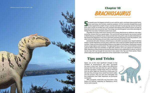 Produktbild: Drawing Dinosaurs