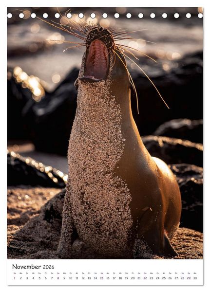 Produktbild: Wildlife - Die Tierwelt der Galapagos Inseln (Tischkalender 2026 DIN A5 hoch), CALVENDO Monatskalender
