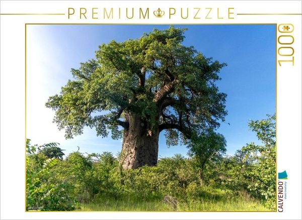 Produktbild: CALVENDO Puzzle Ein Baobabbaum mit pr&auml;chtiger Krone | 1000 Teile Lege-Gr&ouml;&szlig;e 64x48cm Foto-Puzzle f&uuml;r gl&uuml;ckliche Stunden