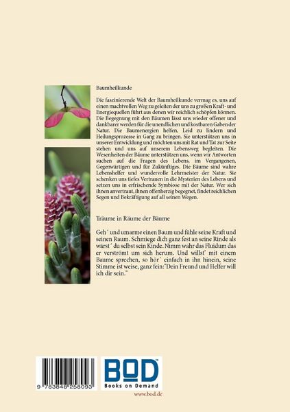 Produktbild: Tr&auml;ume in R&auml;ume der B&auml;ume