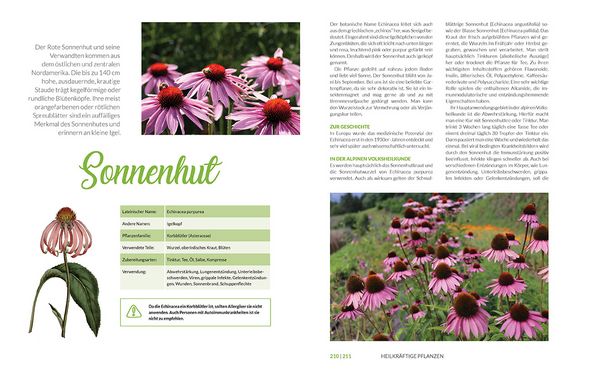Produktbild: Heilkr&auml;uter aus den Alpen