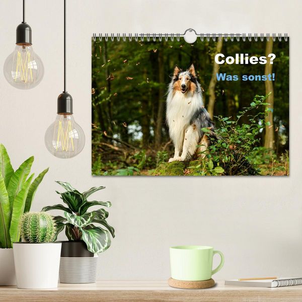 Produktbild: Collies? Was sonst! (Wandkalender 2026 DIN A4 quer), CALVENDO Monatskalender