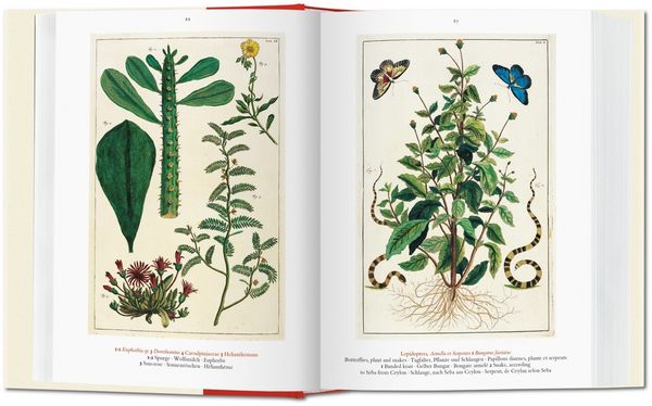 Produktbild: Seba. Cabinet of Natural Curiosities