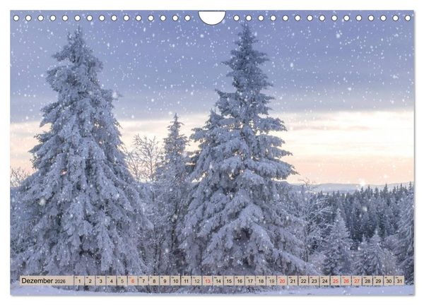 Produktbild: Leise durch den Wald. Sich Zeit nehmen und der Stille lauschen (Wandkalender 2026 DIN A4 quer), CALVENDO Monatskalender