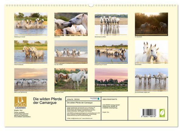 Produktbild: Die wilden Pferde der Camargue (hochwertiger Premium Wandkalender 2026 DIN A2 quer), Kunstdruck in Hochglanz