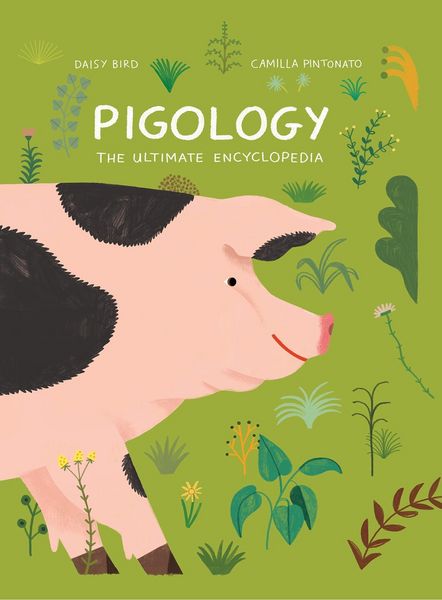 Produktbild: Pigology