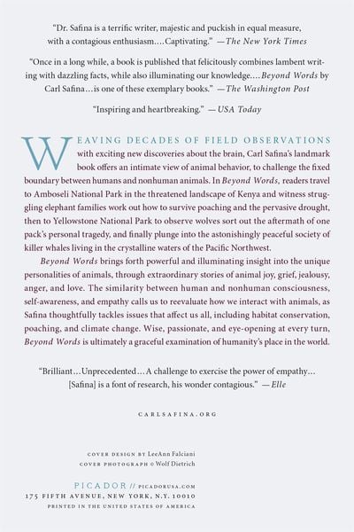 Produktbild: Beyond Words