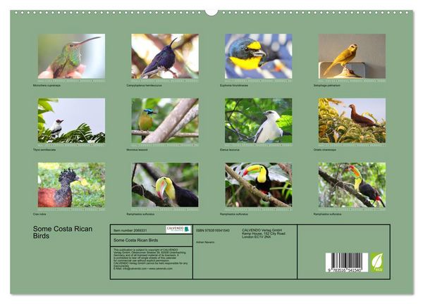 Produktbild: Some Costa Rican Birds (High Quality Premium Wall Calendar 2026 DIN A2 landscape),CALVENDO 12 Month Wall Calendar