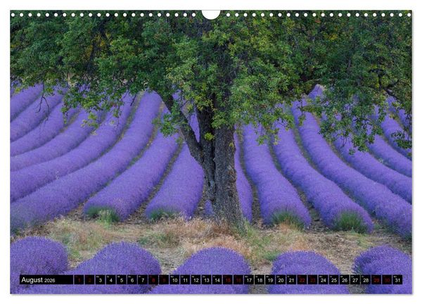 Produktbild: Provence im Rausch der Farben (Wandkalender 2026 DIN A3 quer), CALVENDO Monatskalender
