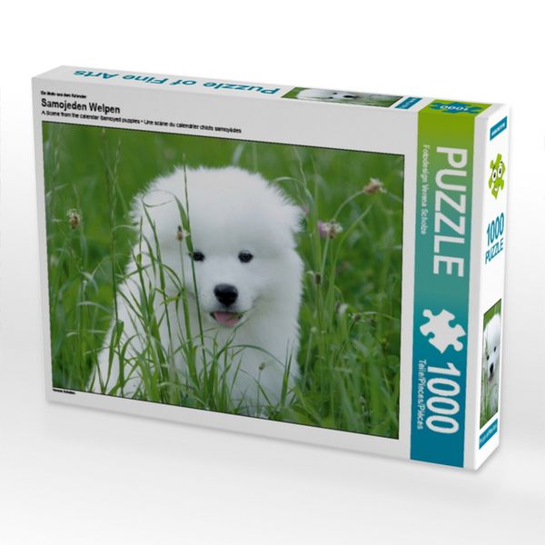 CALVENDO Puzzle Ein Motiv aus dem Kalender Samojeden Welpen | 1000 Teile Lege-Größe 64x48cm Foto-Puzzle für glückliche Stunden