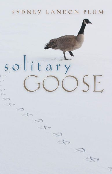 Produktbild: Solitary Goose