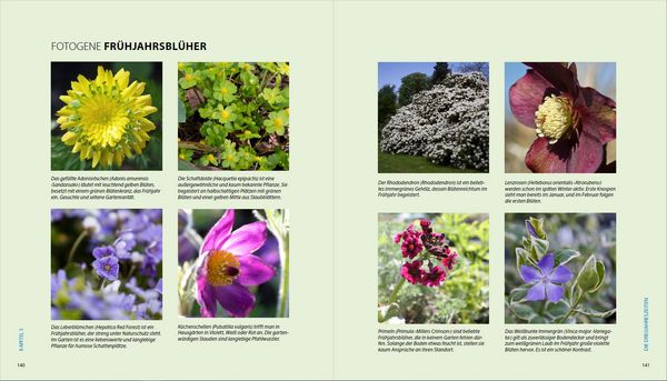 Produktbild: Garten-Shooting