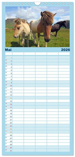 Produktbild: Familienplaner 2026 - Island - Iceland mit 5 Spalten (Wandkalender, 21 x 45 cm) CALVENDO