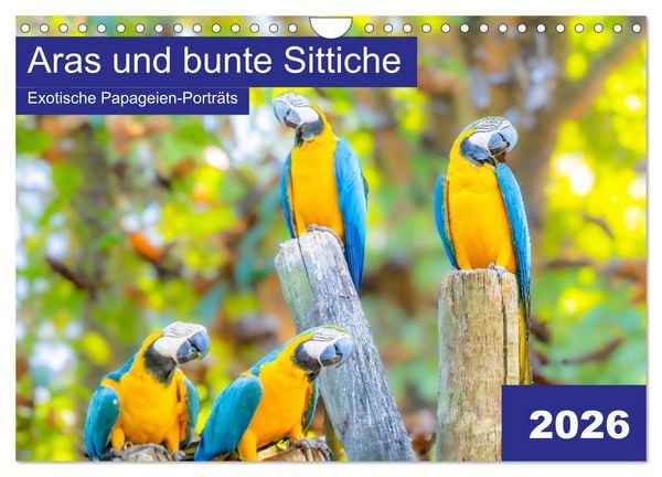 Produktbild: Aras und bunte Sittiche: Exotische Papageien-Portr&auml;ts (Wandkalender 2026 DIN A4 quer), CALVENDO Monatskalender
