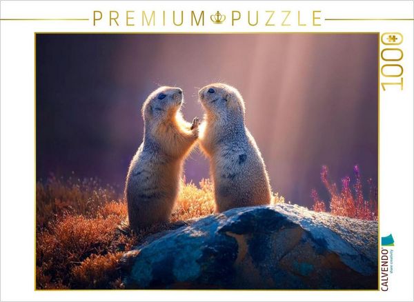 CALVENDO Puzzle Zwei, die sich liebhaben | 1000 Teile Lege-Größe 64x48cm Foto-Puzzle für glückliche Stunden, Sonstige von , Calvendo Puzzle,