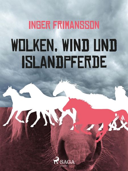 Produktbild: Wolken, Wind und Islandpferde
