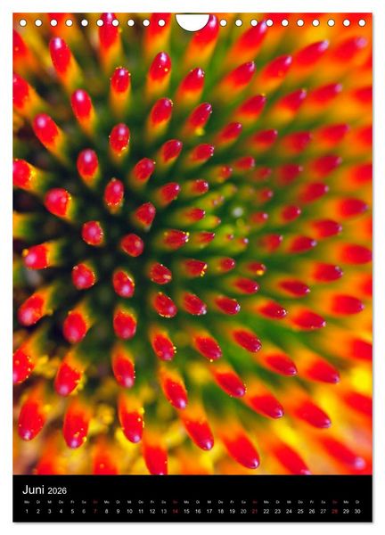 Produktbild: Kunst in der Natur (Wandkalender 2026 DIN A4 hoch), CALVENDO Monatskalender