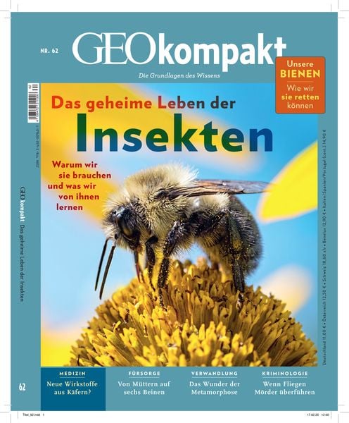 GEOkompakt / GEOkompakt 62/2020 - Das geheime Leben der Insekten, Taschenbuch von Jens Schröder,Markus Wolff, Gruner + Jahr, 978-3-652-00960-7
