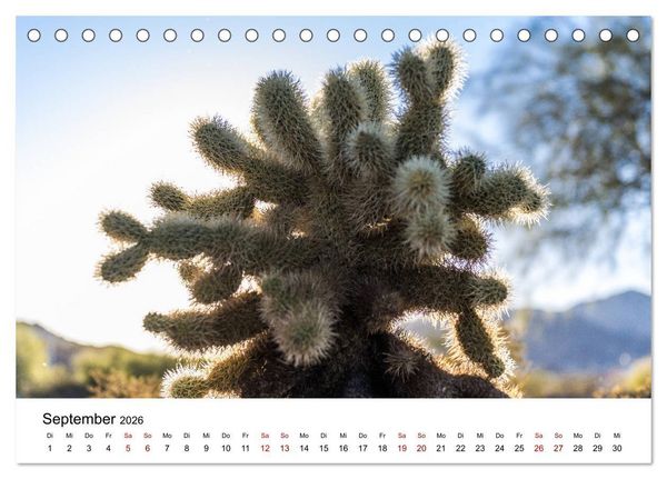 Produktbild: Naturparadiese zwischen Los Angeles und Las Vegas (Tischkalender 2026 DIN A5 quer), CALVENDO Monatskalender