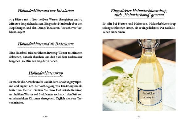 Produktbild: Das große kleine Buch: Holunderzeit