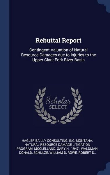 Produktbild: Rebuttal Report