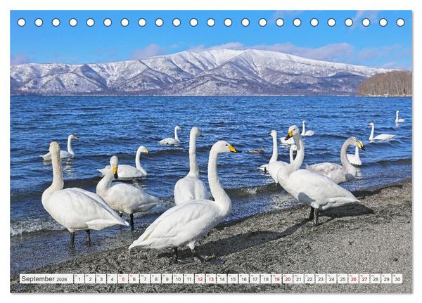 Produktbild: Wildes Japan - Hokkaido im Winter (Tischkalender 2026 DIN A5 quer), CALVENDO Monatskalender
