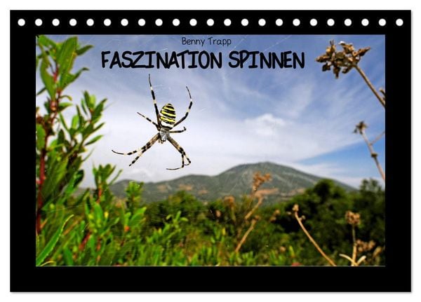 Produktbild: Faszination Spinnen (Tischkalender 2026 DIN A5 quer), CALVENDO Monatskalender