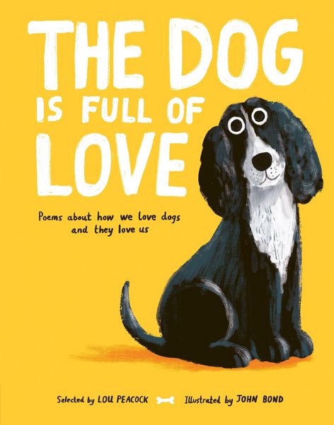 The Dog is Full of Love, Gebundene Ausgabe von Lou Peacock, Nosy Crow, 978-1-80513-431-2