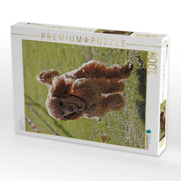 Produktbild: CALVENDO Puzzle Rennender Pudel | 1000 Teile Lege-Gr&ouml;&szlig;e 64x48cm Foto-Puzzle f&uuml;r gl&uuml;ckliche Stunden
